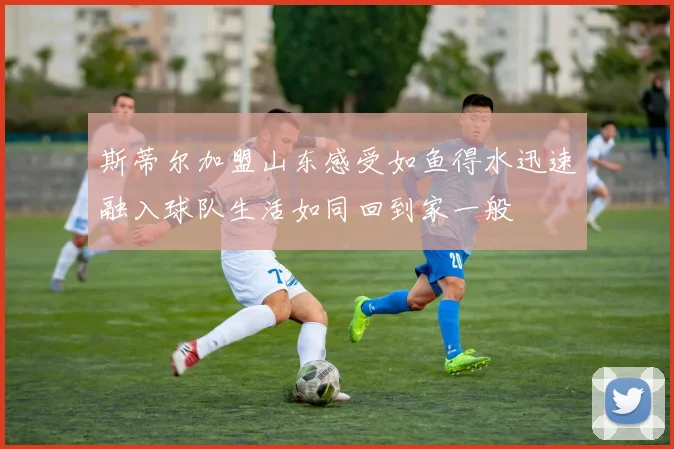 斯蒂尔加盟山东感受如鱼得水迅速融入球队生活如同回到家一般