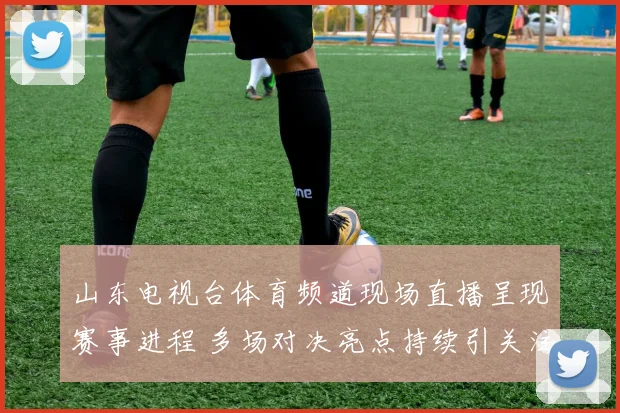 山东电视台体育频道现场直播呈现赛事进程 多场对决亮点持续引关注