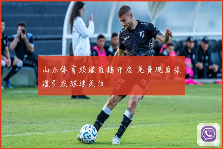 山东体育频道直播开启 免费观看渠道引发球迷关注