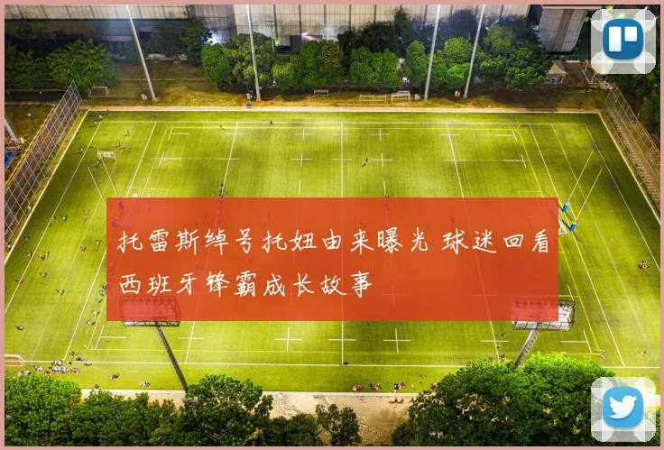 托雷斯绰号托妞由来曝光 球迷回看西班牙锋霸成长故事