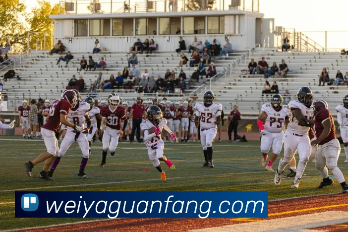 九游官网j9发展历程